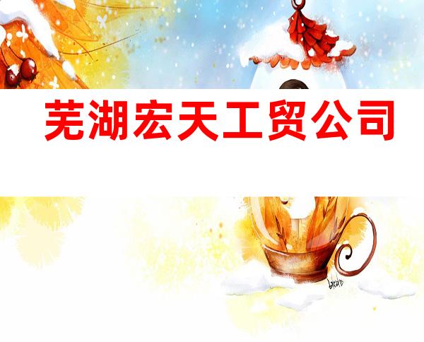 芜湖宏天工贸公司